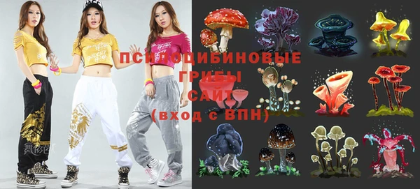 прущая мука Кинешма