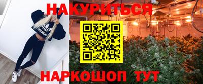 прущие грибы Ливны