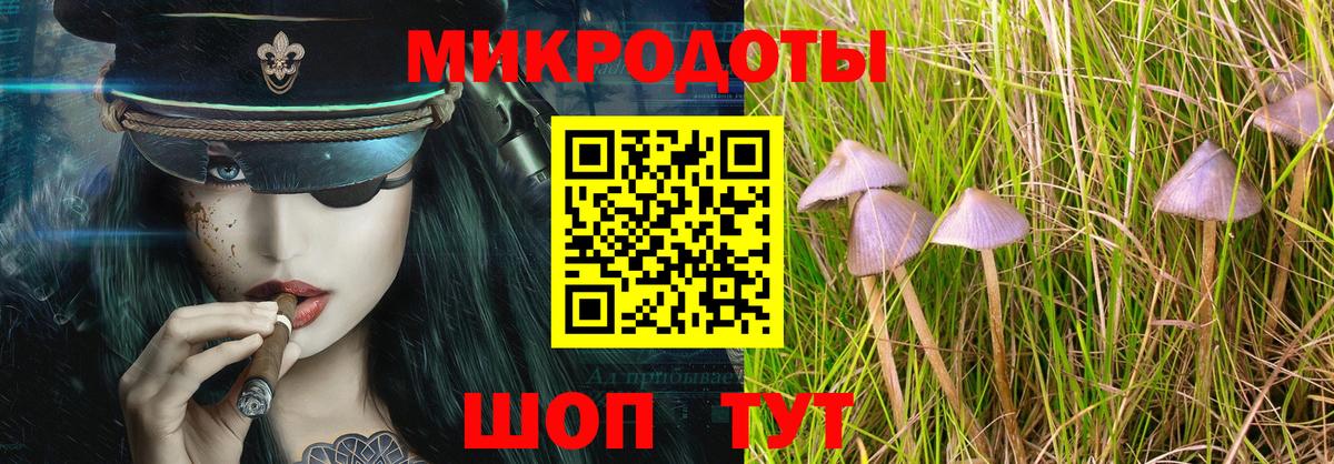 Галлюциногенные грибы Psilocybe Ковров