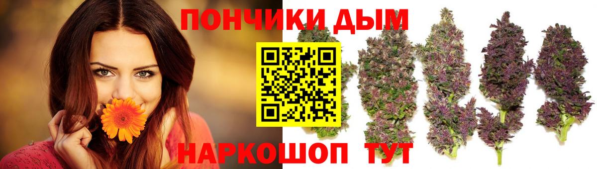 Каннабис конопля Ковров